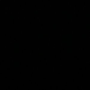 Meet your Posher, Jaylah